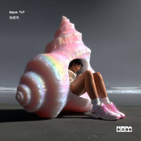 Trumpet Shell Trumpet Shell