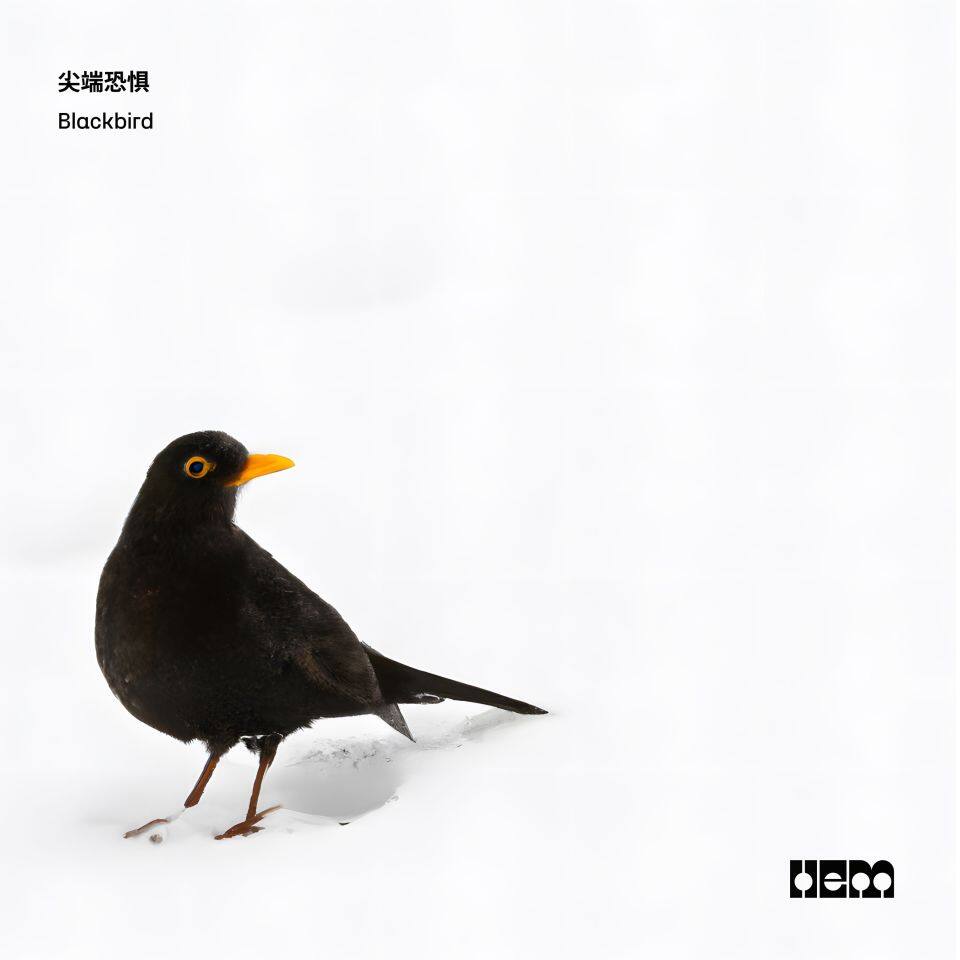 Blackbird Blackbird