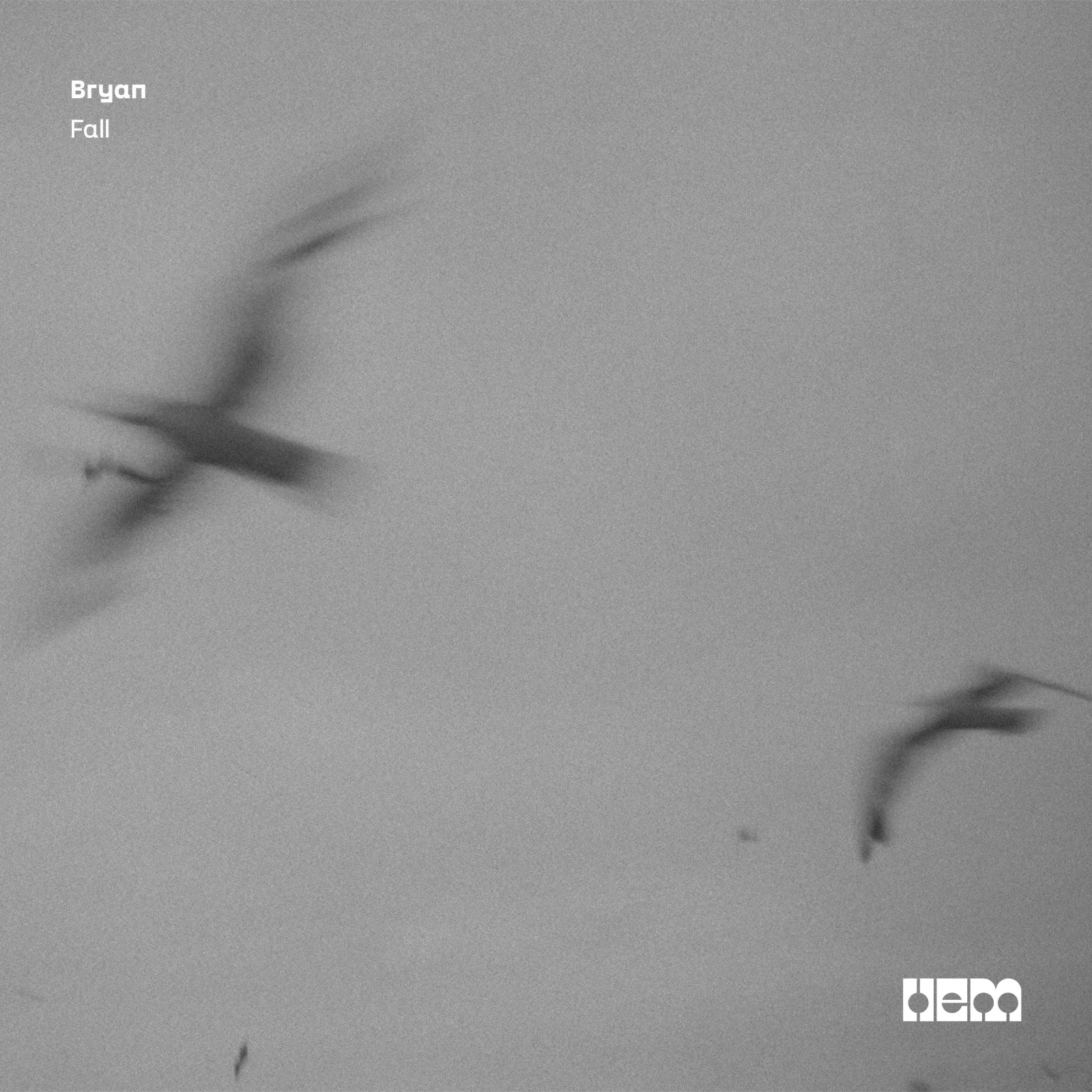 Fall by Bryan