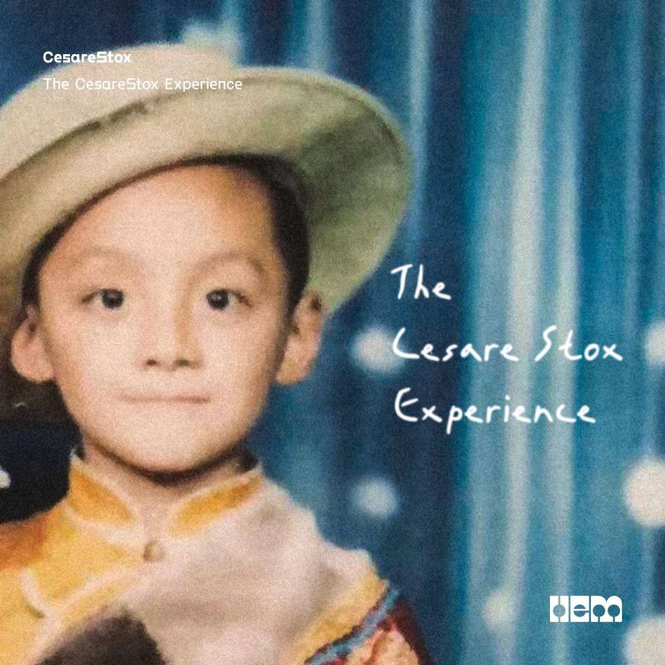 The CesareStox Experience 