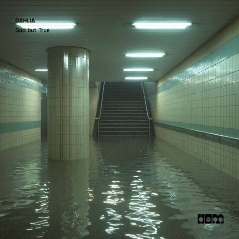 Sad but True Sad but True