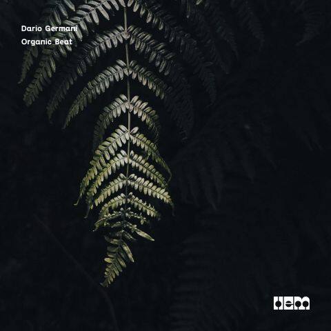 Organic Beat Organic Beat