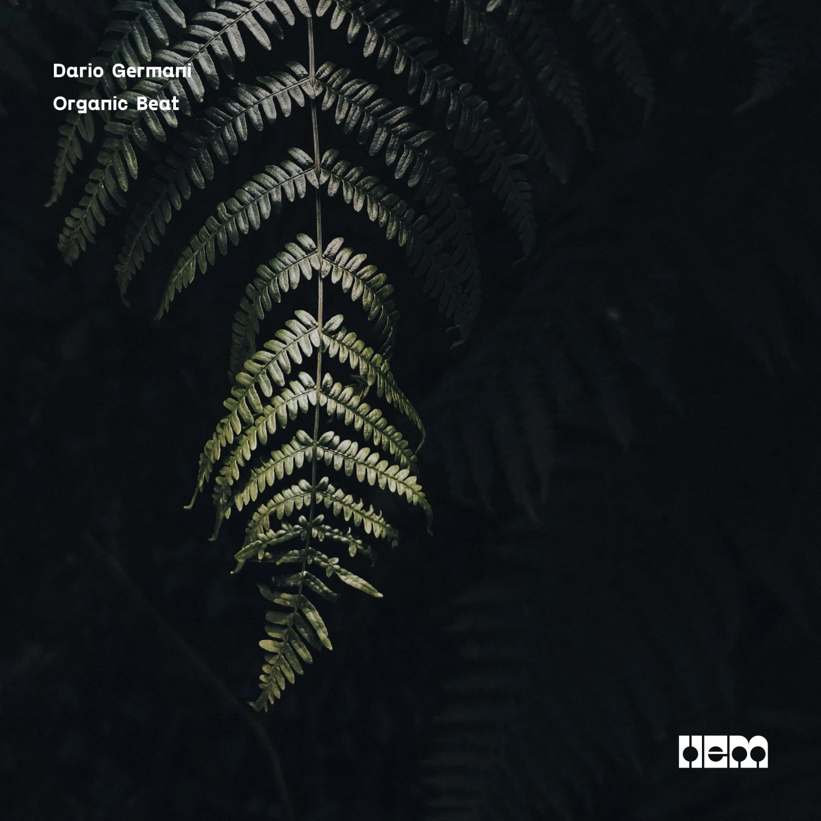 Organic Beat by Dario Germani
