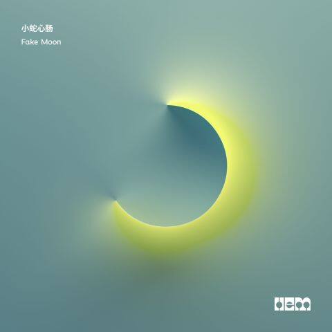 Fake Moon