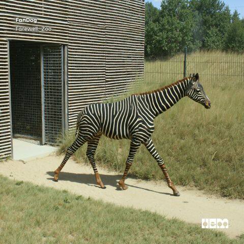 Farewell, Zoo Farewell, Zoo