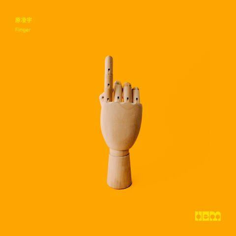 Finger