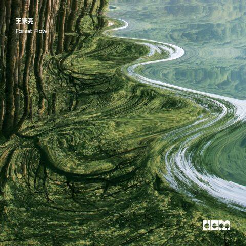 Forest Flow