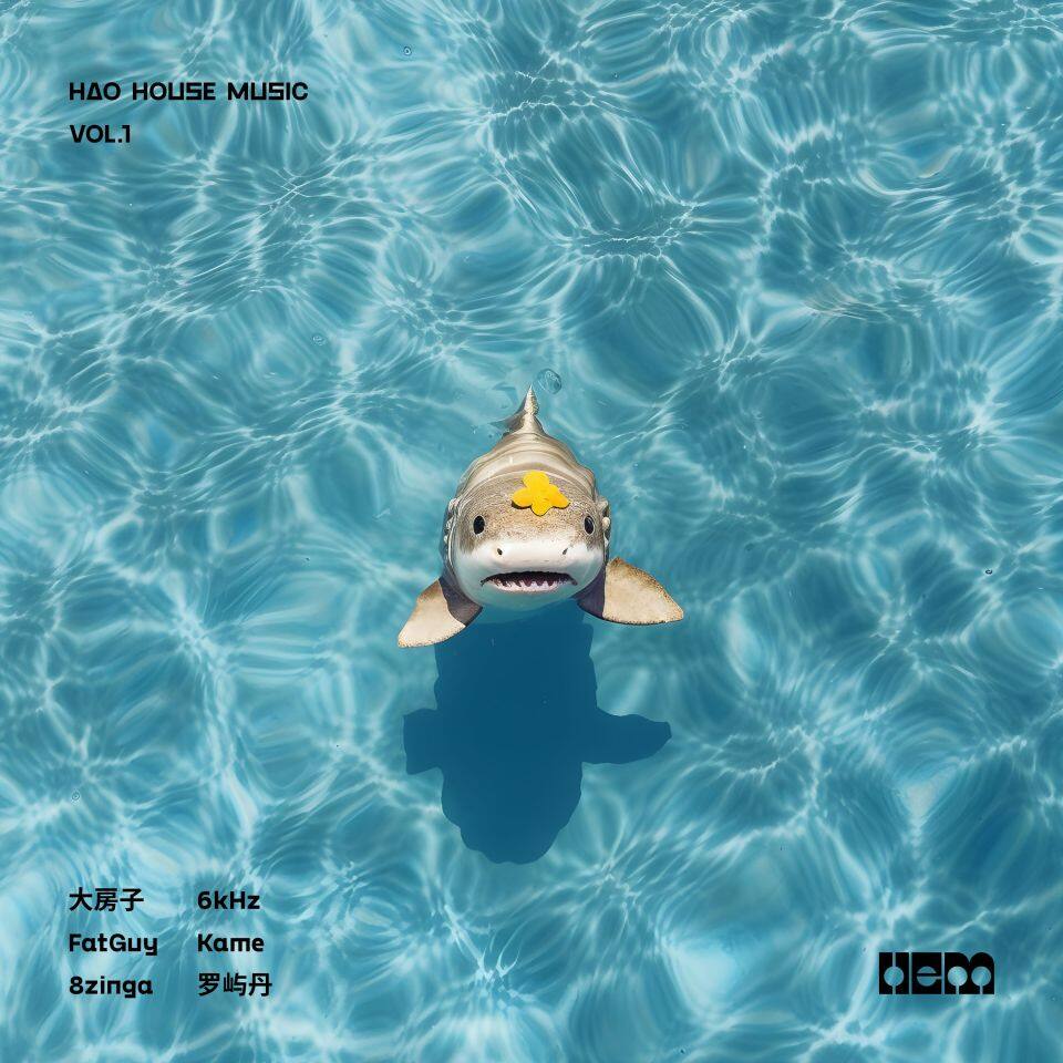 HAO HOUSE MUSIC VOL.1 HAO HOUSE MUSIC VOL.1
