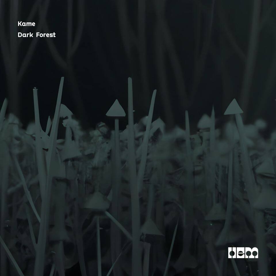 Dark Forest Dark Forest