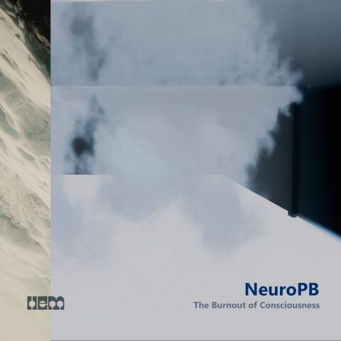 The Burnout of Consciousness