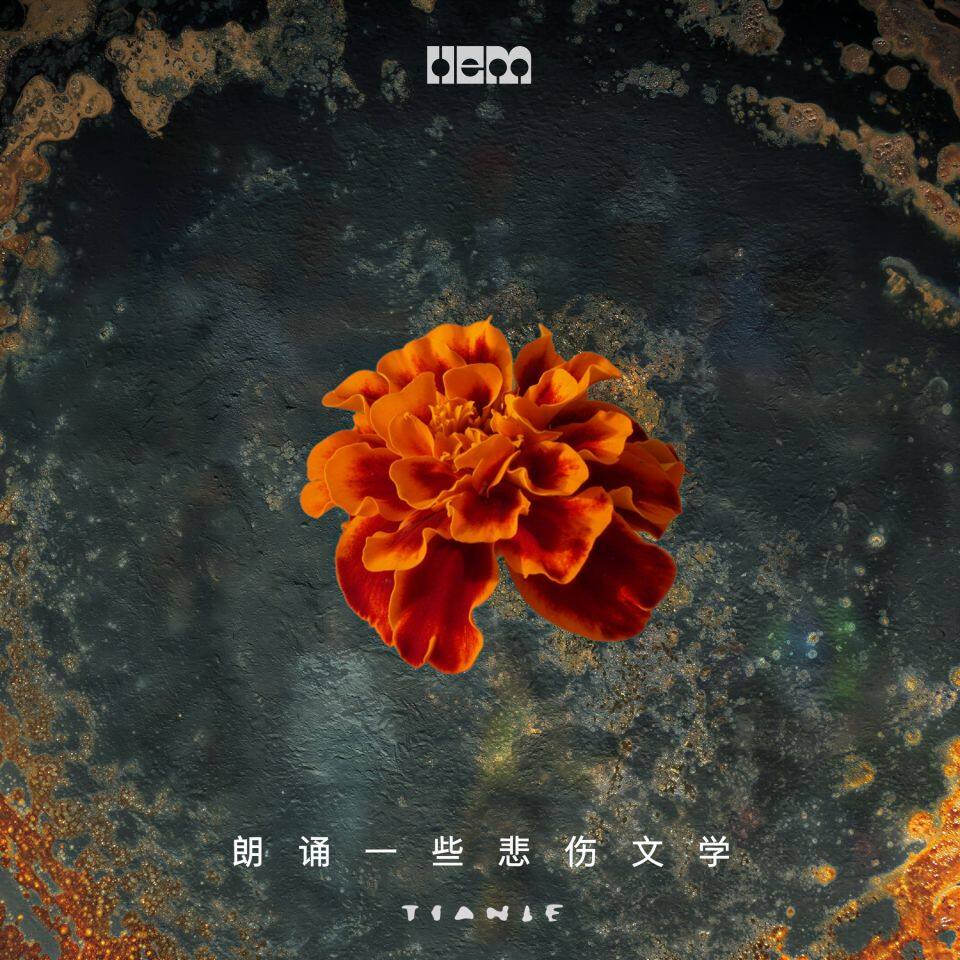 朗诵一些悲伤文学