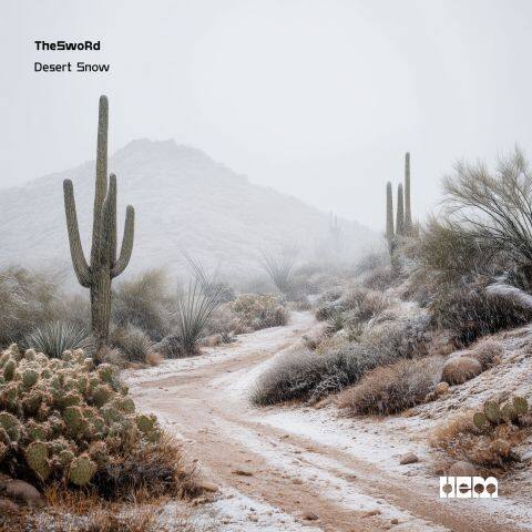 Desert Snow