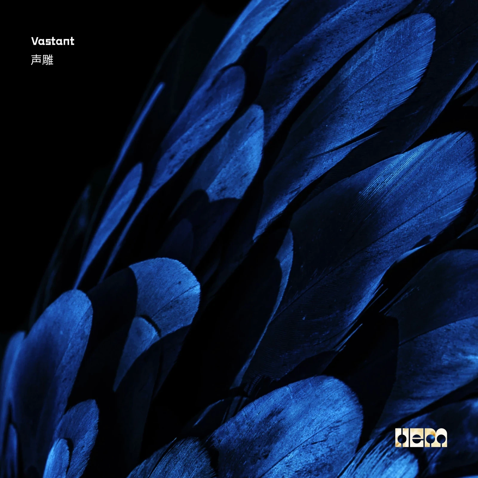 Voice Carving by Vastant